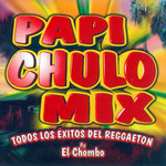 cours-particulier-reggaeton-toulouse-papi-chulo